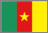 cameroon national flag - air ticktes to africa from london